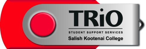 This USB drive folds up to protect important information.