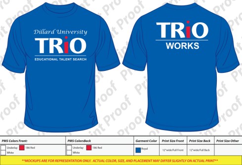 100% color tee shirt