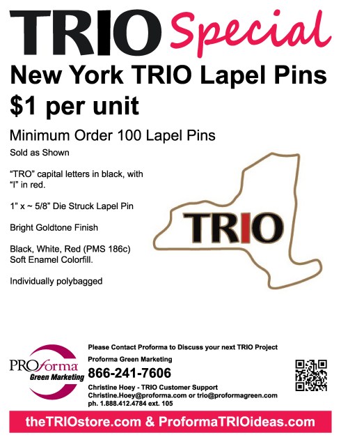 Minimum order is 100 lapel pins.