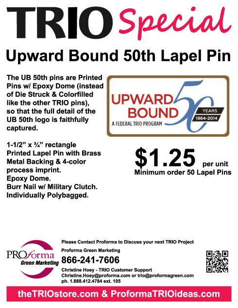 50 lapel pin minimum order