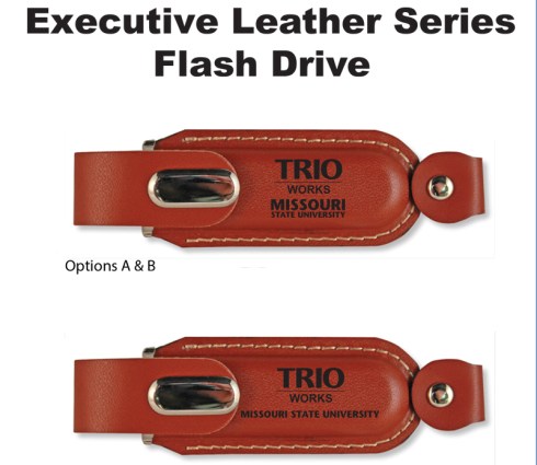 Brown leather casing
