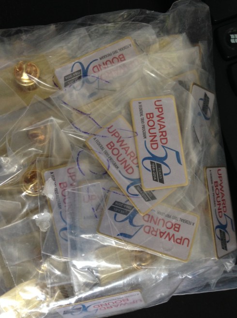 UB 50th lapel pins back in stock.