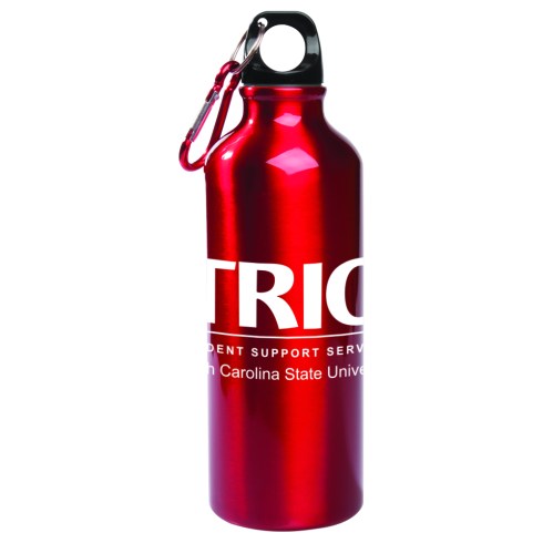 Alpine-themed durable BPA-free 25 oz. Aluminum sports bottle is safe and stylish. Features a black leak-proof screw-down lid with mini metal carabiner attached. 