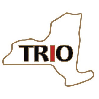 Sold as Shown, bag of 500 lapel pins (6 weeks need for production) "TRO" capital letters in black, with "I" in red. 1" x ~ 5/8" Die Struck Lapel Pin Bright Goldtone Finish Black, White, Red (PMS 186c) Soft Enamel Colorfill. Individually polybagged